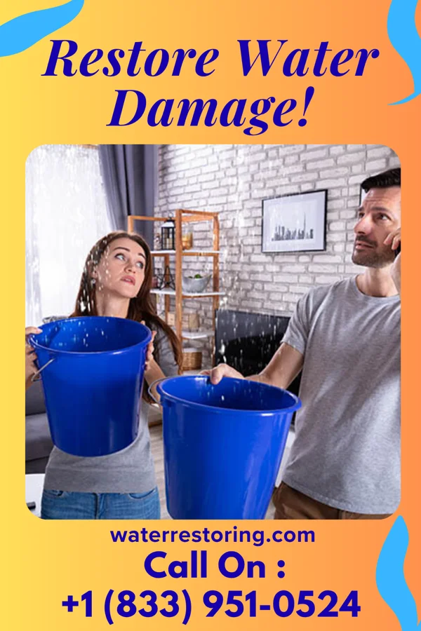 water restoration Peak Water Mitigation Edenburg