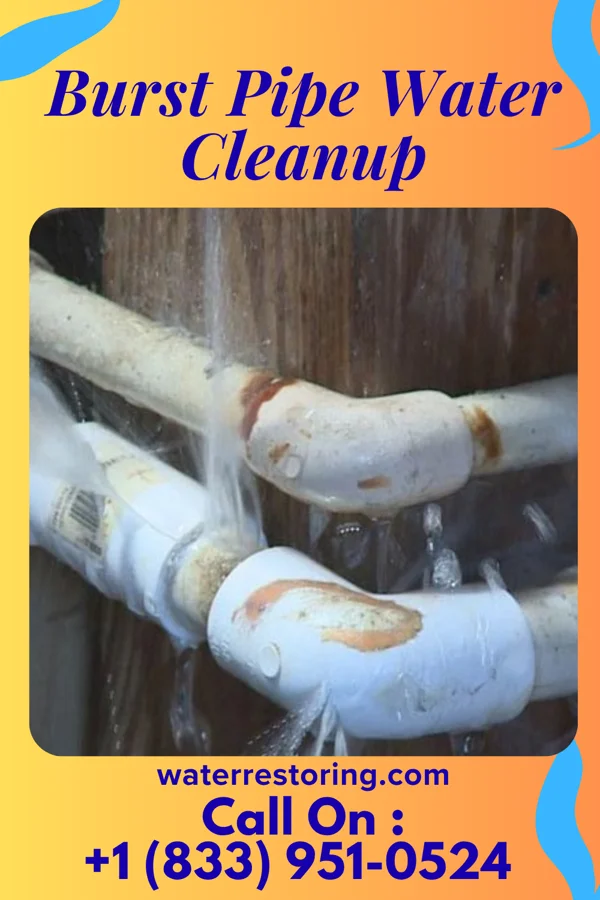 Burst Pipe Water Cleanup in Edenburg, PA