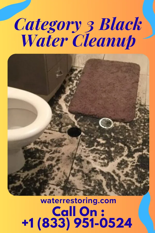 Category 3 Black Water Cleanup in Edenburg, PA
