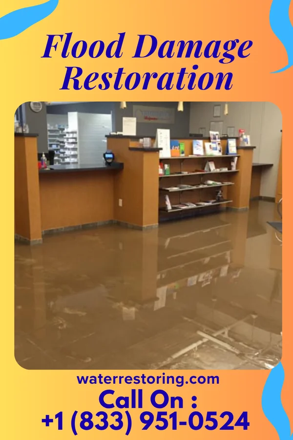 Flood Damage Restoration in Edenburg, PA