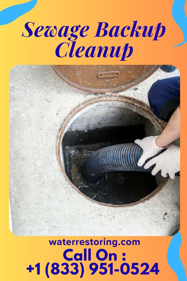 Sewage Backup Cleanup in Edenburg, PA