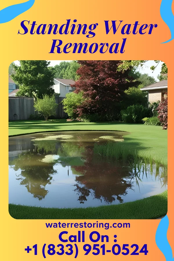 Standing Water Removal in Edenburg, PA